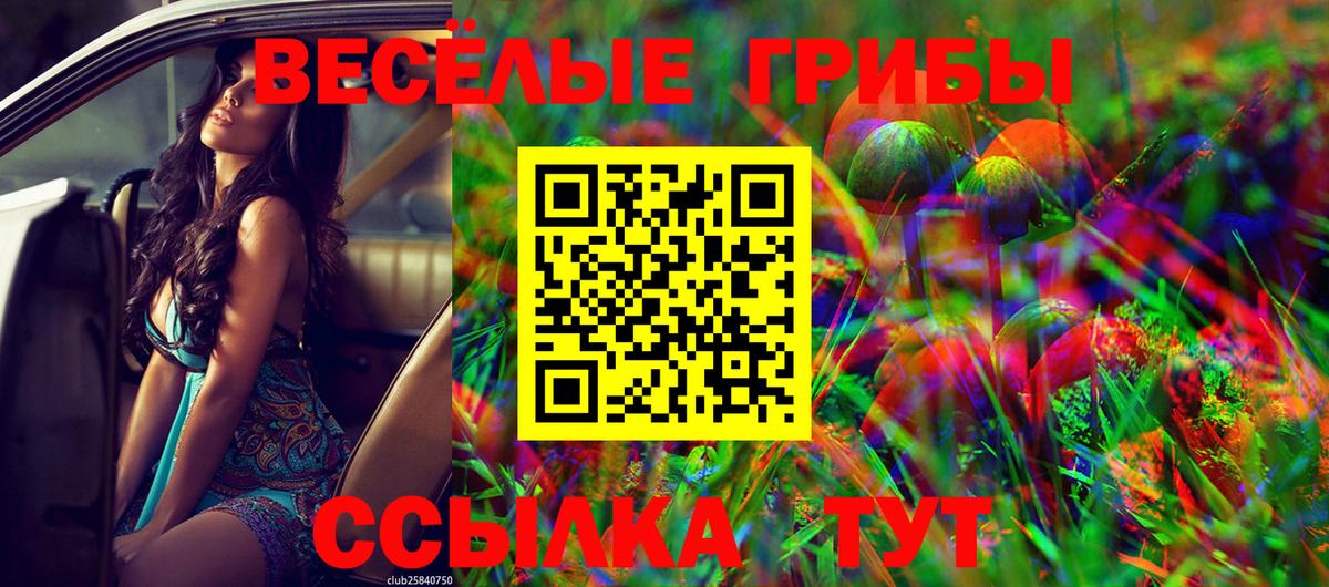 Галлюциногенные грибы Psilocybe  Вход с VPN  Псилоцибиновые грибы Cubensis  Златоуст 