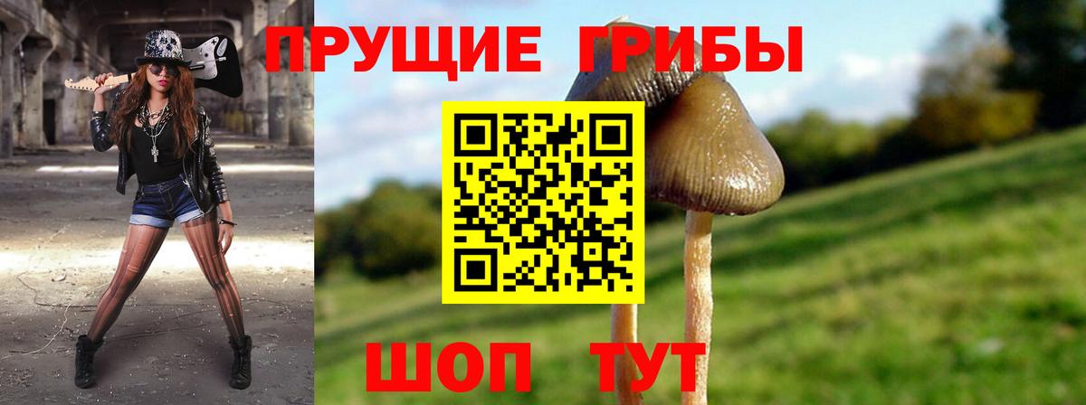 Галлюциногенные грибы прущие грибы Златоуст